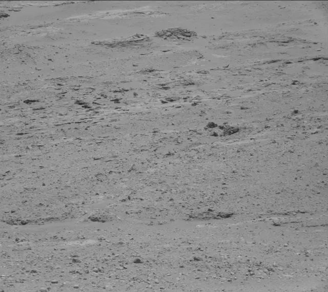 Sol 389: Mast Camera (Mastcam)