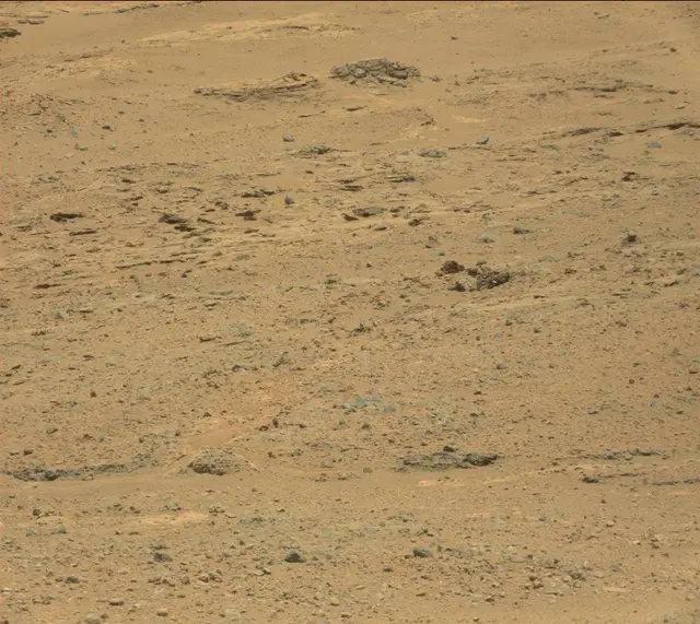 Sol 389: Mast Camera (Mastcam)