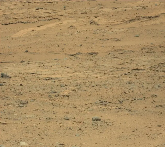 Sol 389: Mast Camera (Mastcam)