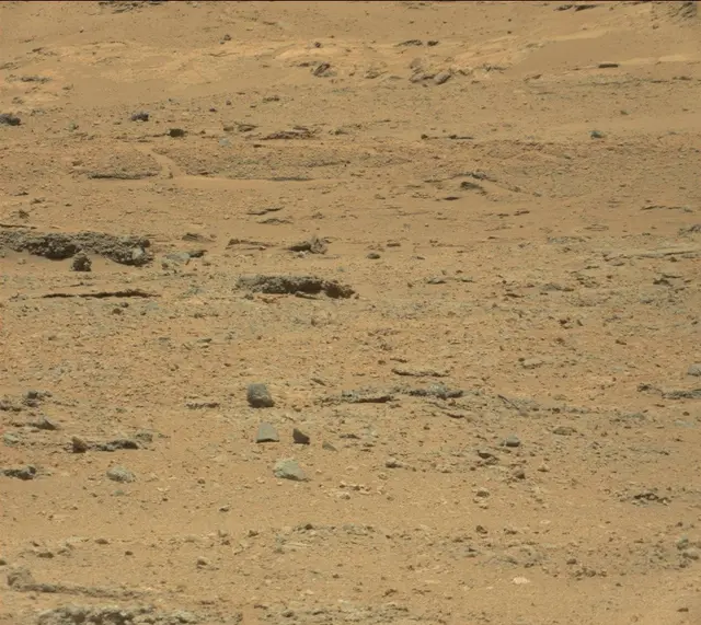 Sol 389: Mast Camera (Mastcam)