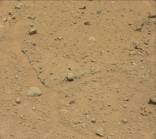 Sol 390: Mast Camera (Mastcam)