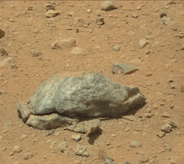 Sol 390: Mast Camera (Mastcam)