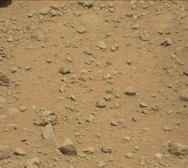 Sol 390: Mast Camera (Mastcam)