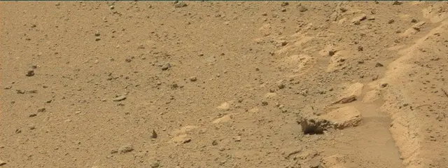 Sol 392: Mast Camera (Mastcam)