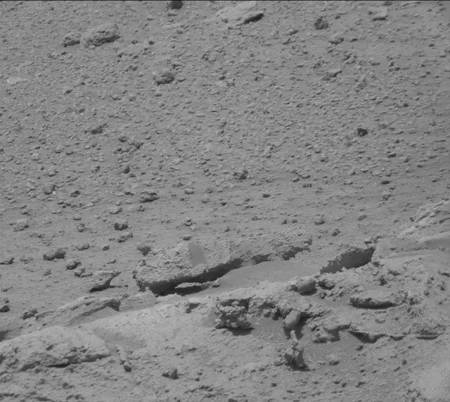 Sol 392: Mast Camera (Mastcam)