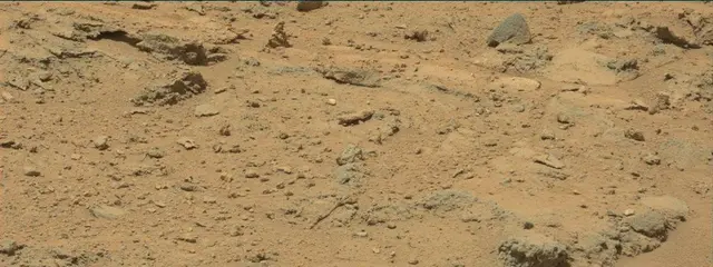 Sol 393: Mast Camera (Mastcam)