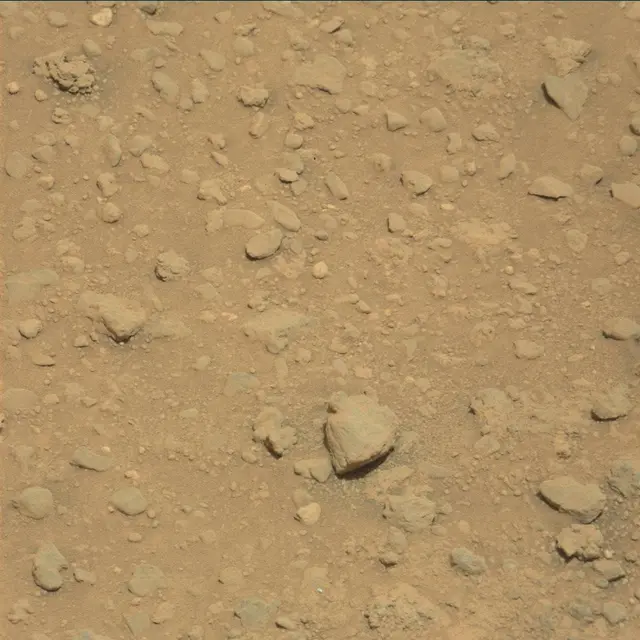 Sol 393: Mast Camera (Mastcam)
