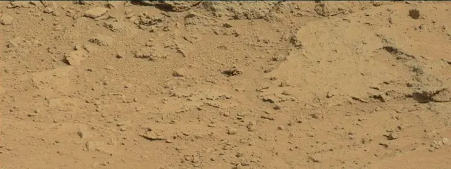 Sol 395: Mast Camera (Mastcam)