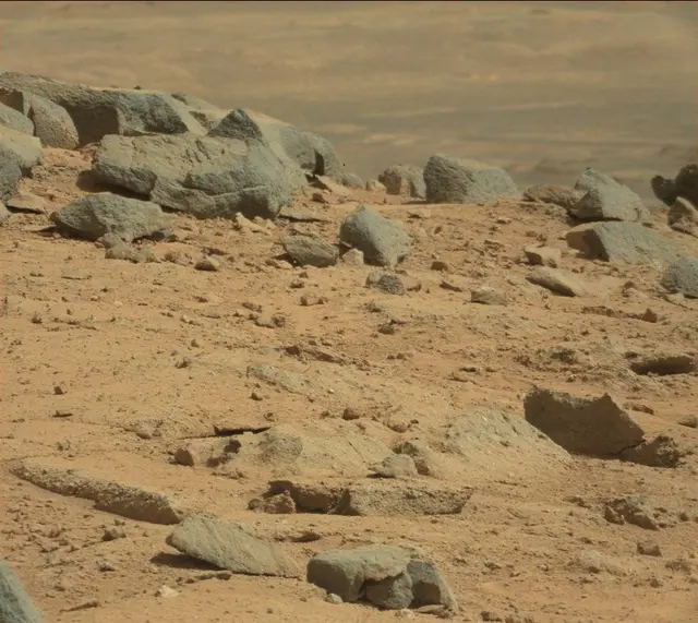 Sol 395: Mast Camera (Mastcam)