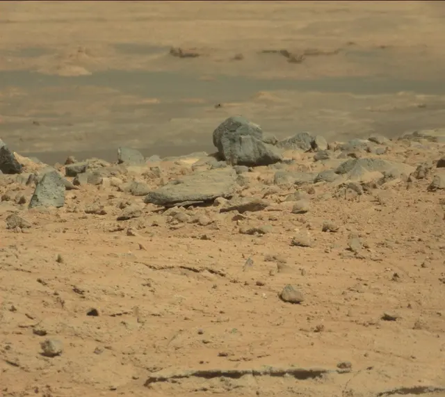 Sol 395: Mast Camera (Mastcam)