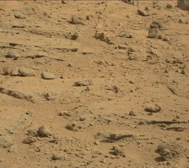 Sol 395: Mast Camera (Mastcam)