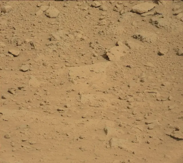 Sol 395: Mast Camera (Mastcam)