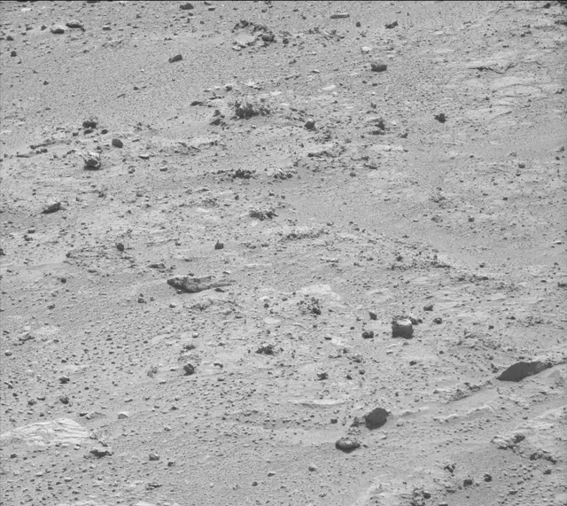 Sol 397: Mast Camera (Mastcam)
