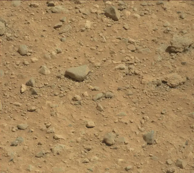 Sol 424: Mast Camera (Mastcam)