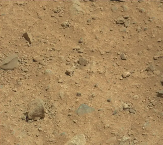 Sol 424: Mast Camera (Mastcam)