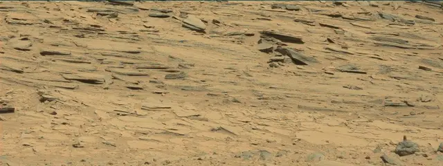 Sol 439: Mast Camera (Mastcam)