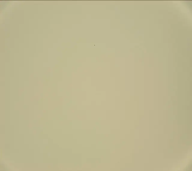 Sol 440: Mast Camera (Mastcam)