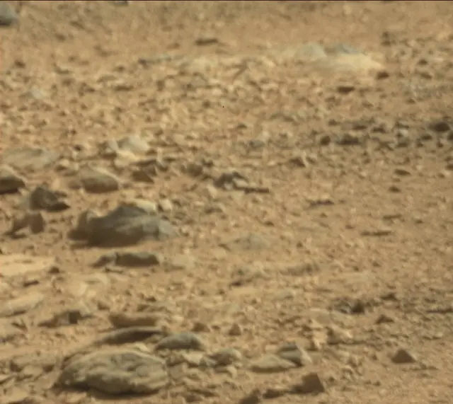 Sol 440: Mast Camera (Mastcam)