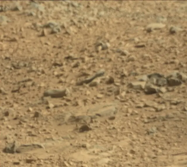 Sol 440: Mast Camera (Mastcam)