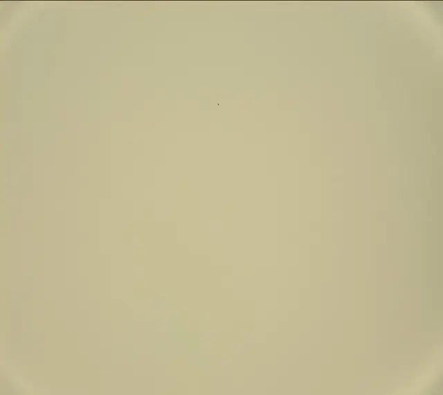 Sol 440: Mast Camera (Mastcam)