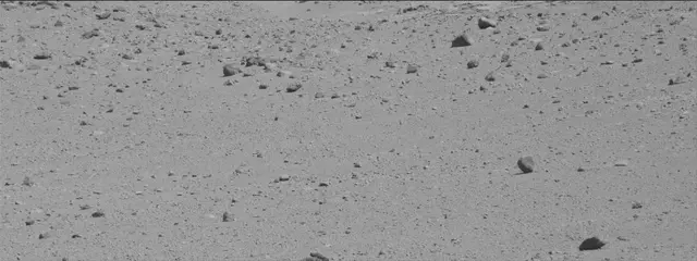 Sol 486: Mast Camera (Mastcam)