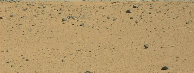 Sol 486: Mast Camera (Mastcam)