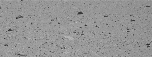 Sol 486: Mast Camera (Mastcam)