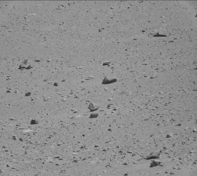 Sol 486: Mast Camera (Mastcam)