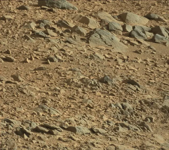 Sol 486: Mast Camera (Mastcam)