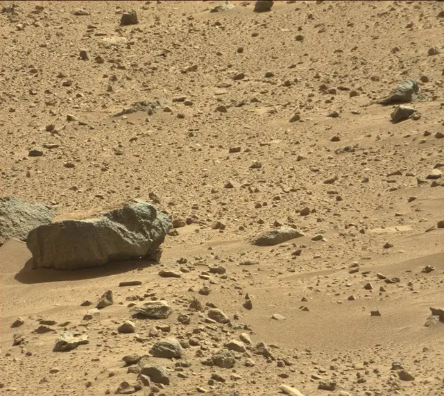 Sol 487: Mast Camera (Mastcam)