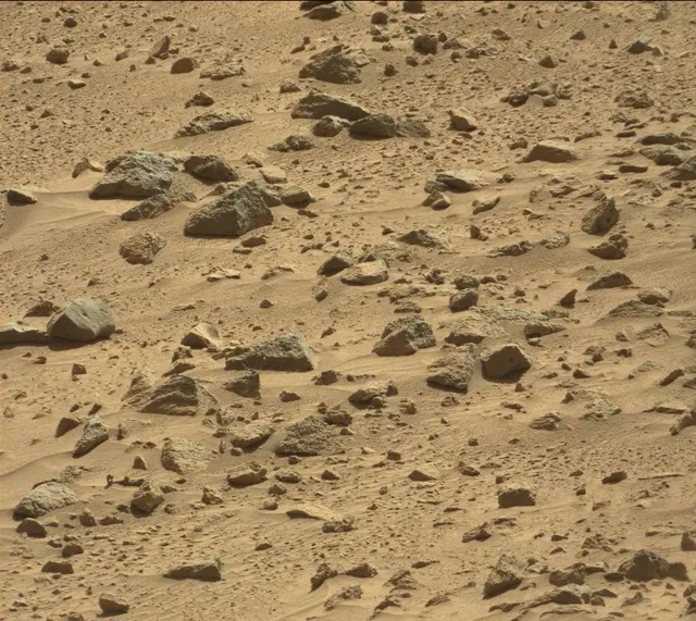 Sol 487: Mast Camera (Mastcam)