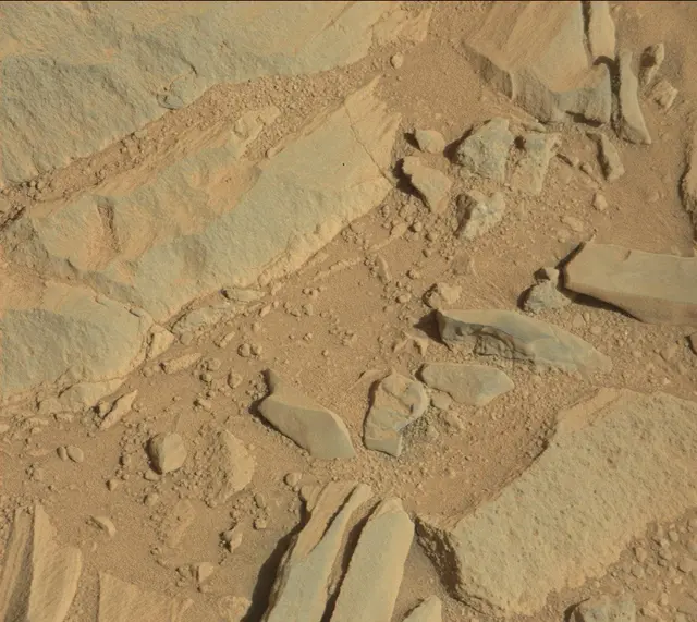 Sol 487: Mast Camera (Mastcam)