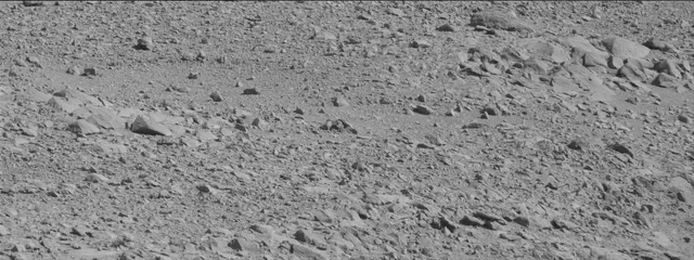 Sol 488: Mast Camera (Mastcam)