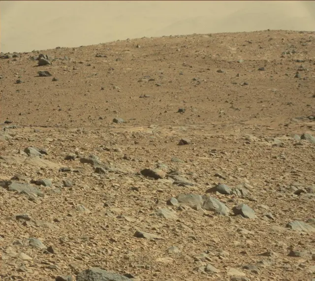 Sol 488: Mast Camera (Mastcam)