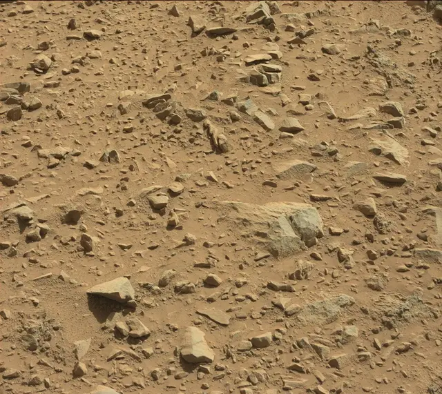 Sol 489: Mast Camera (Mastcam)