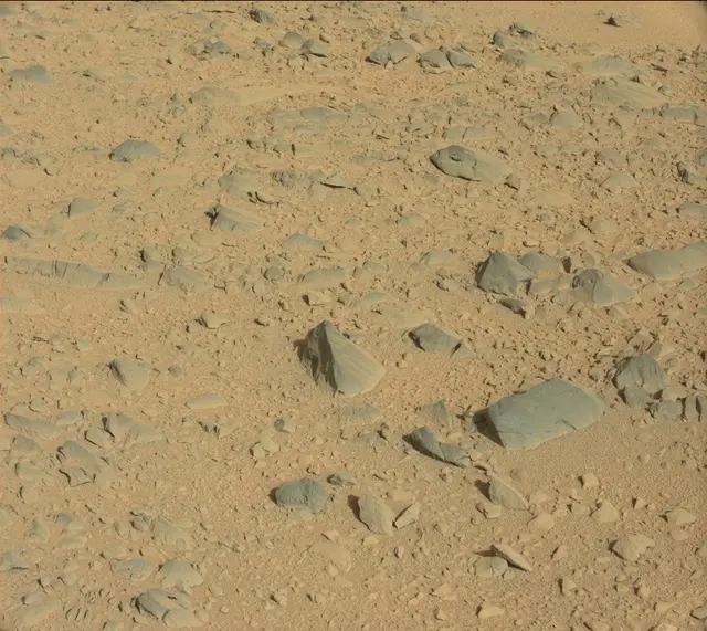 Sol 489: Mast Camera (Mastcam)