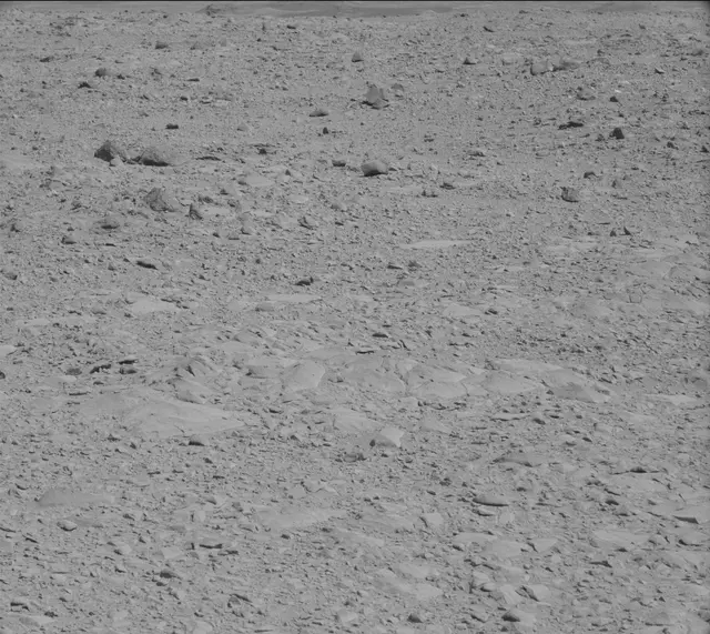 Sol 490: Mast Camera (Mastcam)