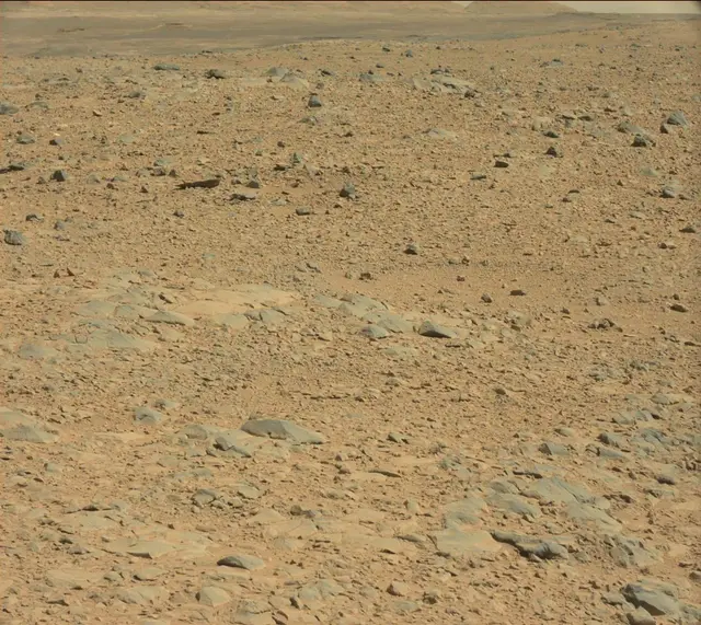 Sol 490: Mast Camera (Mastcam)