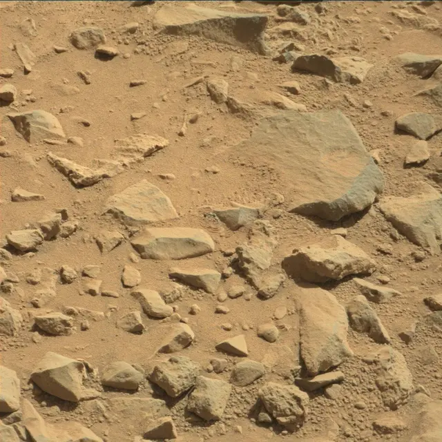 Sol 491: Mast Camera (Mastcam)