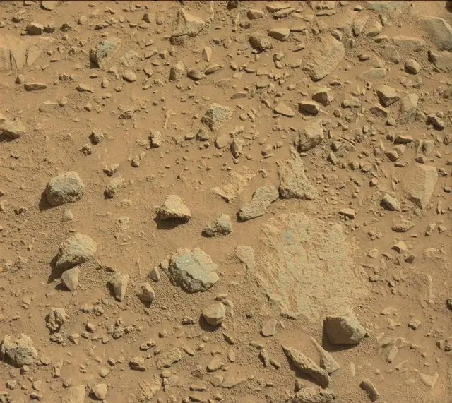 Sol 493: Mast Camera (Mastcam)
