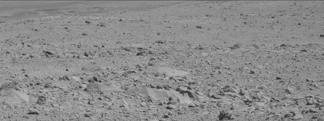 Sol 494: Mast Camera (Mastcam)