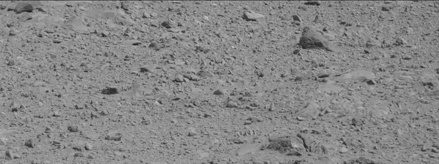 Sol 494: Mast Camera (Mastcam)