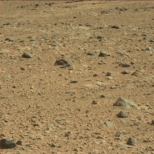 Sol 494: Mast Camera (Mastcam)