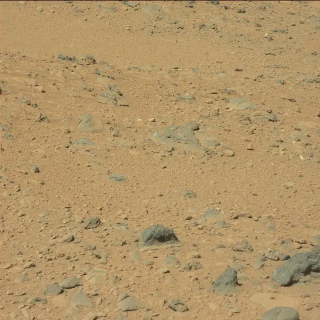 Sol 494: Mast Camera (Mastcam)