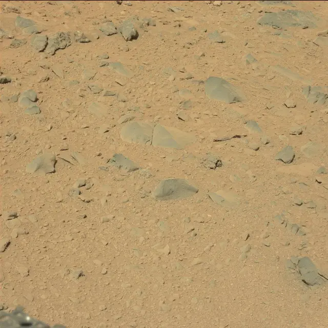 Sol 494: Mast Camera (Mastcam)