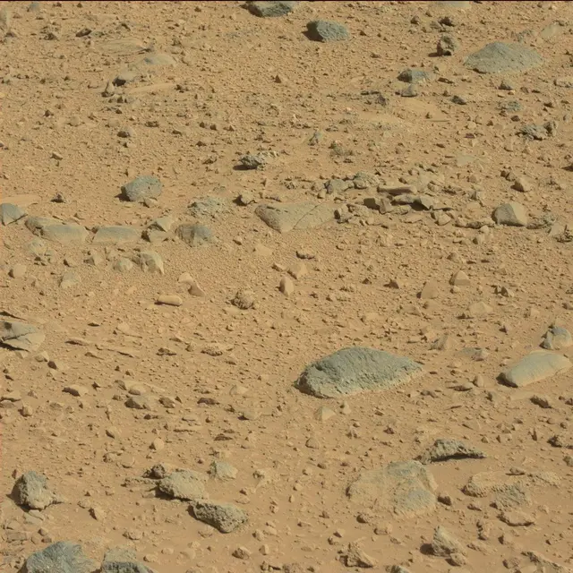 Sol 494: Mast Camera (Mastcam)