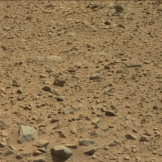 Sol 494: Mast Camera (Mastcam)