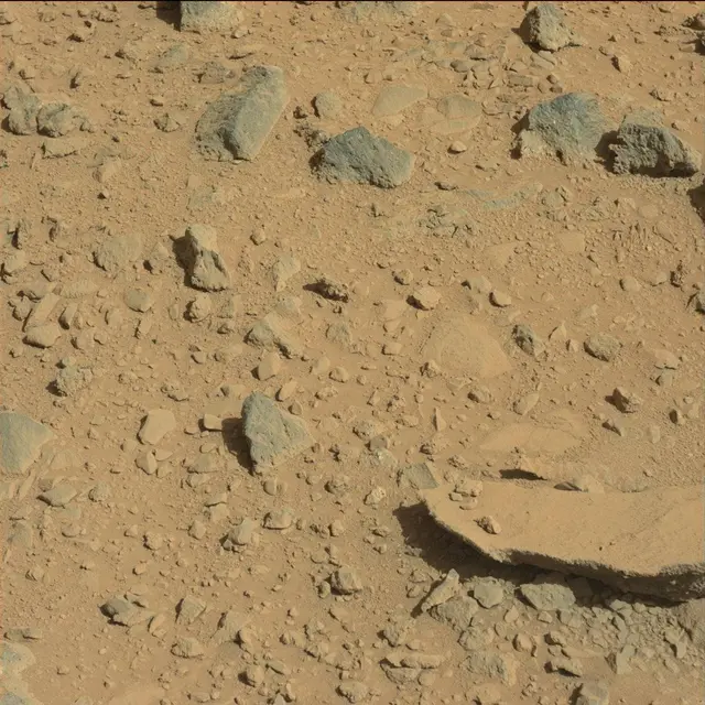Sol 494: Mast Camera (Mastcam)