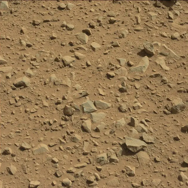 Sol 494: Mast Camera (Mastcam)