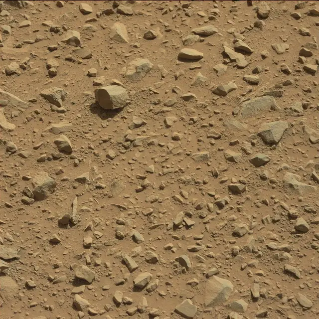 Sol 494: Mast Camera (Mastcam)